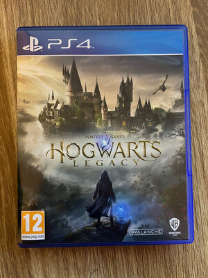 Hogwarts Legacy PlayStation 4