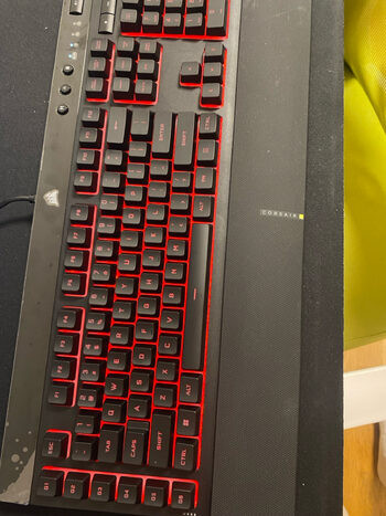 Buy Corsair k55 rgb pro