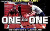 Jordan vs Bird: One on One Game Boy