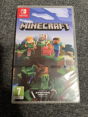 Minecraft Nintendo Switch