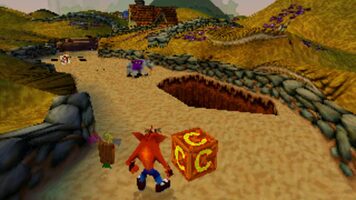 Crash Bandicoot Collectors' Edition PlayStation