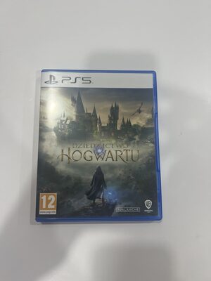 Hogwarts Legacy PlayStation 5