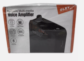 Get Rolton Portable Multi-Media Voice Amplifier K300