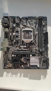 Buy Asus PRIME B250M-K Intel B250 Micro ATX DDR4 LGA1151 1 x PCI-E x16 Slots Motherboard