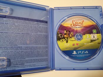 Buy Spirit: Lucky's Big Adventure PlayStation 4