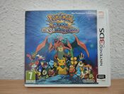 Pokémon Super Mystery Dungeon __GAME_PLATFORM__ Nintendo 3DS