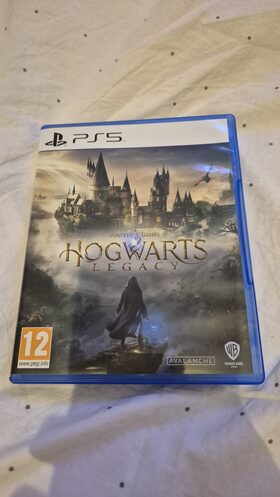 Hogwarts Legacy PlayStation 5