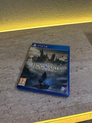 Hogwarts Legacy PlayStation 4