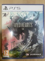 Wild Hearts PlayStation 5