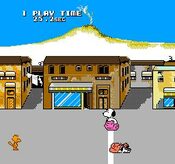 Redeem Snoopy's Silly Sports Spectacular NES