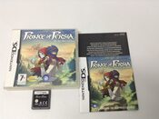 Buy Prince of Persia: The Fallen King Nintendo DS