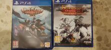 Divinity: Original Sin - Enhanced Edition PlayStation 4