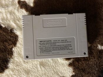 Disney's The Lion King SNES