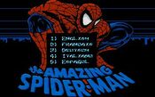 Redeem The Amazing Spider-Man (1990) Game Boy