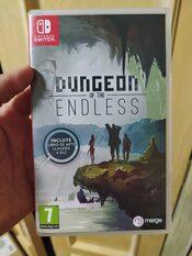 Dungeon of the Endless Nintendo Switch