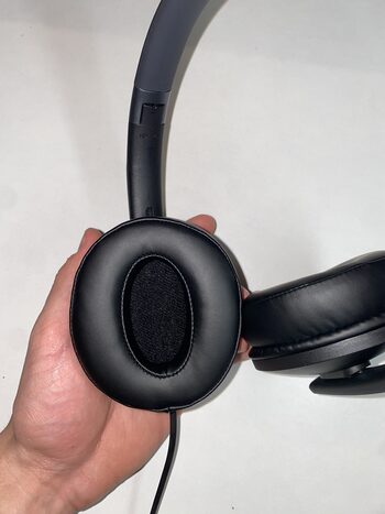 Sennheiser HD4.20s