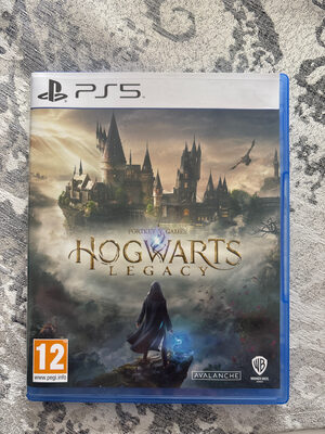 Hogwarts Legacy PlayStation 5