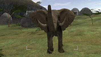 Buy Wild Earth: African Safari Wii