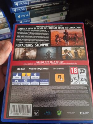 Red Dead Redemption 2 PlayStation 4