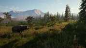 theHunter: Call of the Wild - 2021 Edition XBOX LIVE Key UNITED STATES