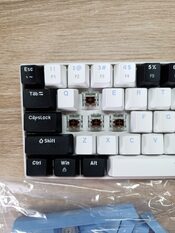Buy Brown switch mechaninė klaviatūra