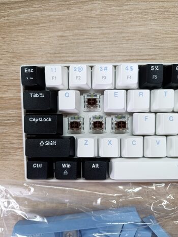 Buy Brown switch mechaninė klaviatūra