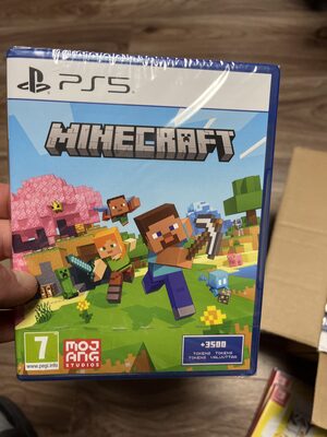 Minecraft PlayStation 5