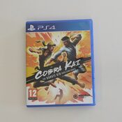 Cobra Kai: The Karate Kid Saga Continues PlayStation 4