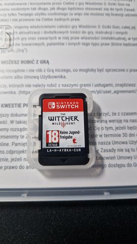 The Witcher 3: Wild Hunt Nintendo Switch