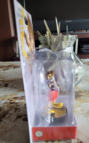 Amiibo Sora