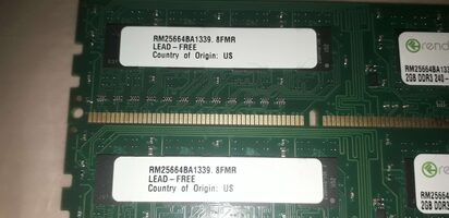 Get Rendition 4 GB (2 x 2 GB) DDR3-1333 Green PC RAM