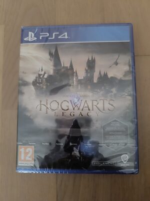 Hogwarts Legacy PlayStation 4