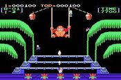 Redeem Donkey Kong 3 Game Boy Advance