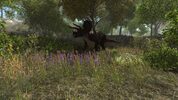 Get Dinosaur Forest (PC) Steam Key GLOBAL
