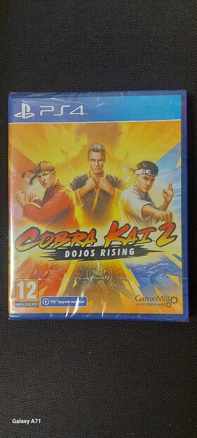 Cobra Kai 2: Dojos Rising PlayStation 4