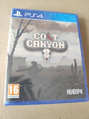 Colt Canyon PlayStation 4