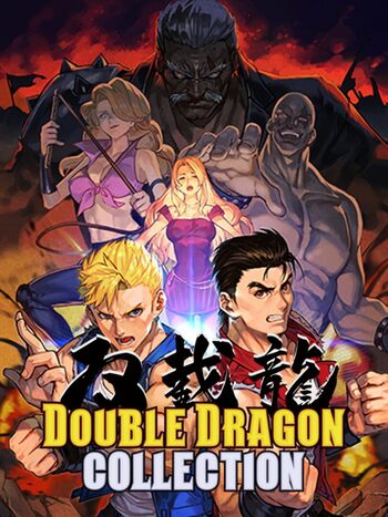 Double Dragon Collection Nintendo Switch