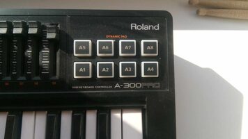 Roland A300 Pro USB Midi Keyboard Controller for sale
