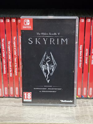 The Elder Scrolls V: Skyrim Nintendo Switch