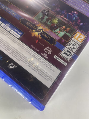 The Dungeon Of Naheulbeuk: The Amulet Of Chaos - Chicken Edition PlayStation 4