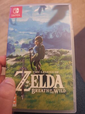 The Legend of Zelda: Breath of the Wild Nintendo Switch