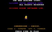 The NewZealand Story NES