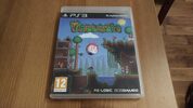 Terraria PlayStation 3