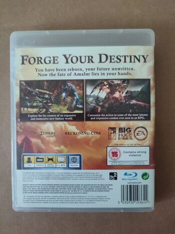 Kingdoms of Amalur: Reckoning PlayStation 3