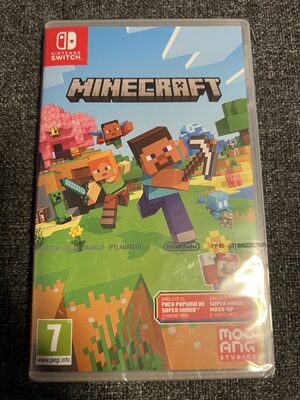 Minecraft Nintendo Switch