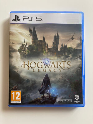 Hogwarts Legacy PlayStation 5