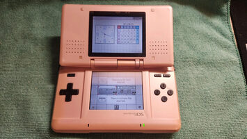 Nintendo DS, Pink/Black