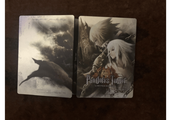 Pandora's Tower Wii