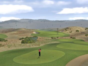 Get Tiger Woods PGA Tour 07 Wii