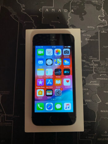 Apple iPhone 5s 16GB Space Gray